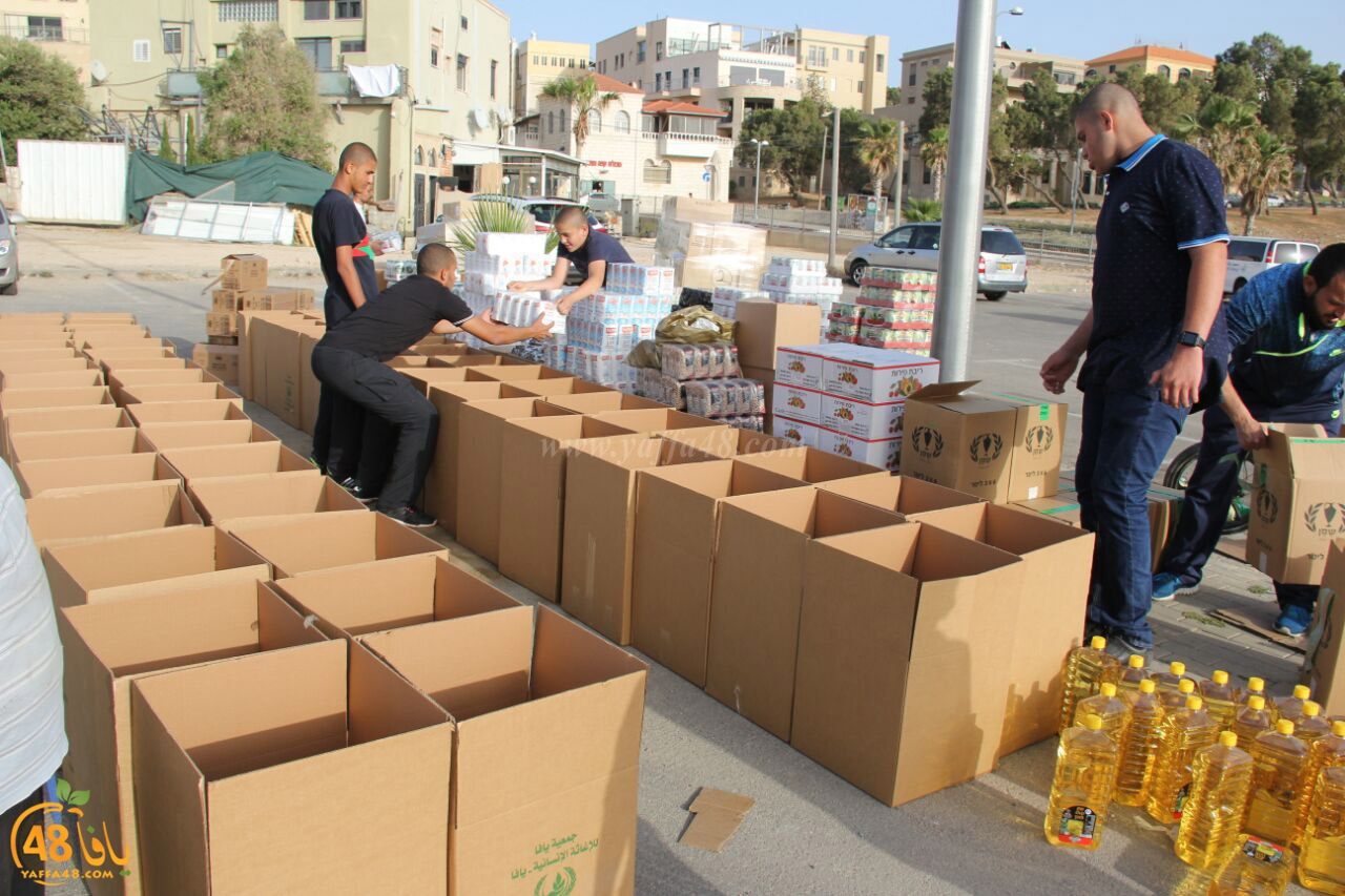 jami3ya torodya (7).jpg